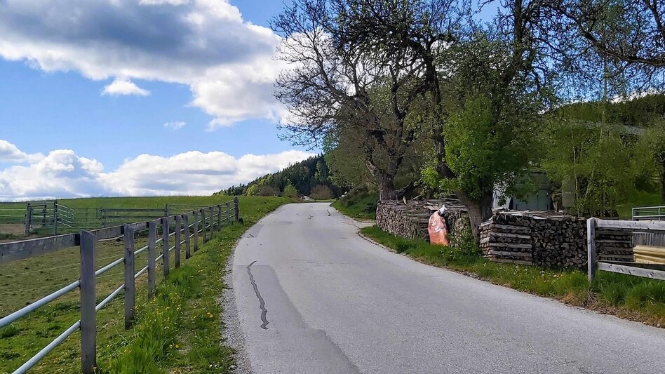 Jogging Hochweg-Runde, Passail - Touren-Impression #2.4 | © Oststeiermark Tourismus