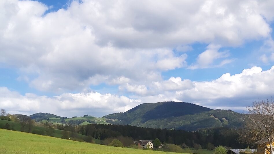 Jogging Hochweg-Runde, Passail - Touren-Impression #2.5 | © Oststeiermark Tourismus