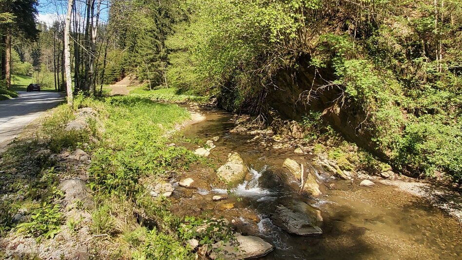Jogging Wiedenberg-Runde, Passail - Touren-Impression #2.2 | © Oststeiermark Tourismus