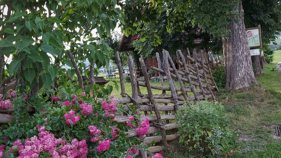 Jogging Hart-Runde, Passail - Touren-Impression #2.3 | © Oststeiermark Tourismus