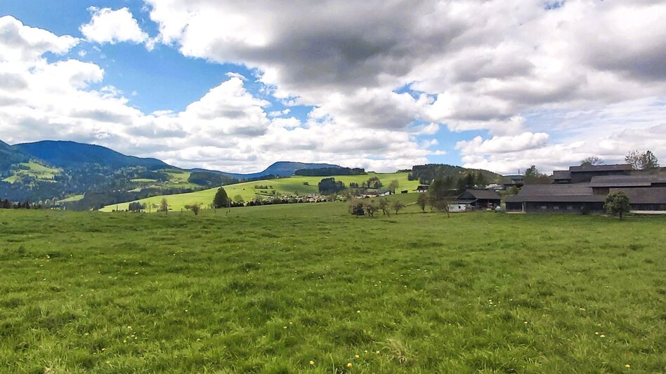 Jogging Hart-Runde, Passail - Touren-Impression #2.1 | © Oststeiermark Tourismus