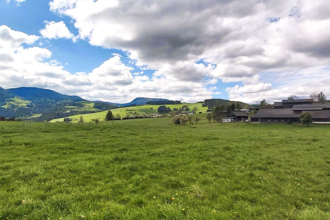 Jogging Hart-Runde, Passail - Touren-Impression #1 | © Oststeiermark Tourismus