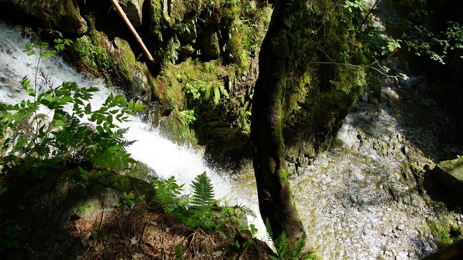 Hiking route Romai waterfall round, St. Jakob im Walde - Touren-Impression #2.1