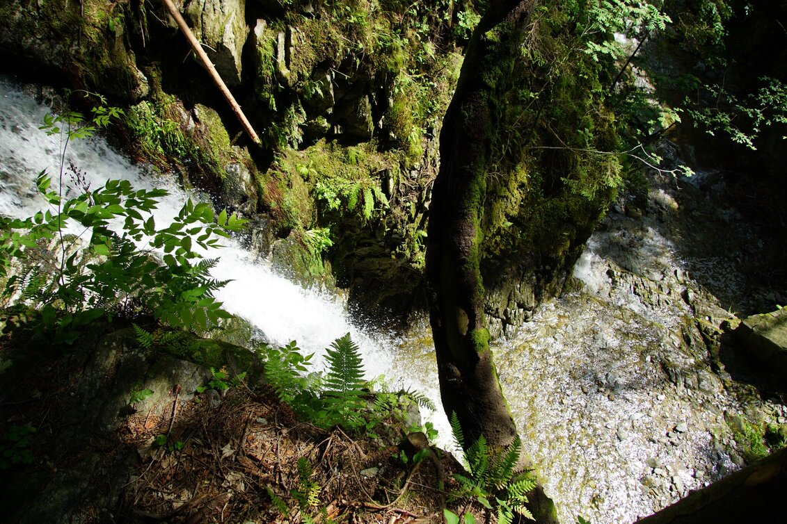 Hiking route Romai waterfall round, St. Jakob im Walde - Touren-Impression #1