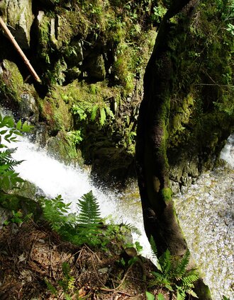  Oststeiermark Tourismus