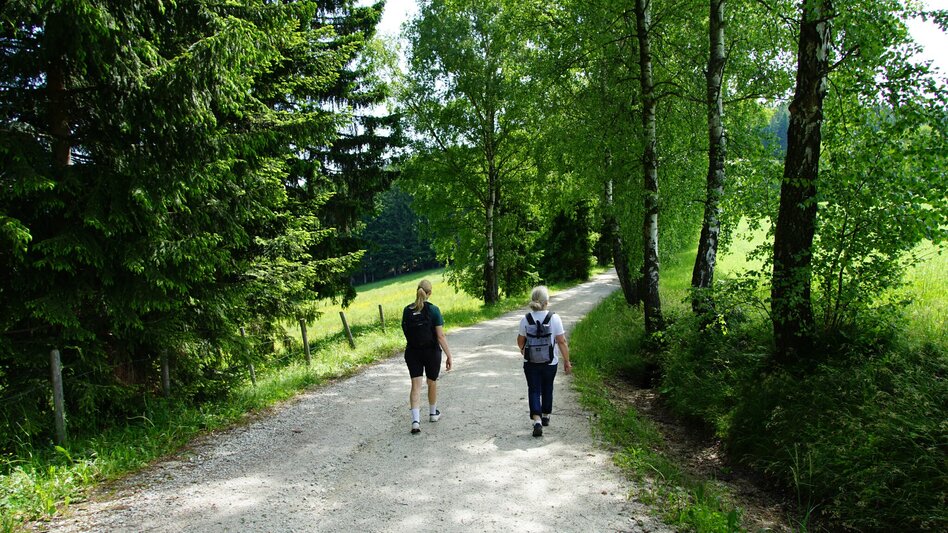 Hiking route Romai waterfall round, St. Jakob im Walde - Touren-Impression #2.3