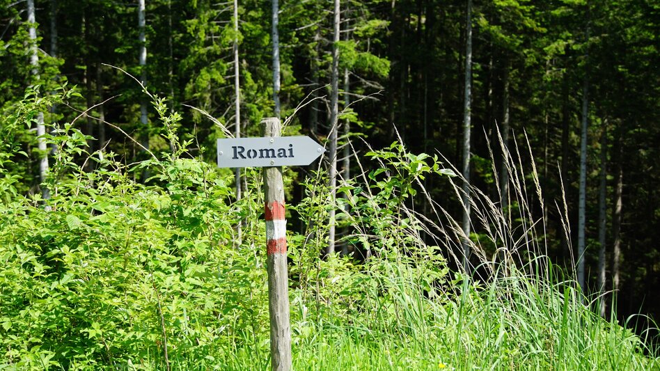 Hiking route Romai waterfall round, St. Jakob im Walde - Touren-Impression #2.4