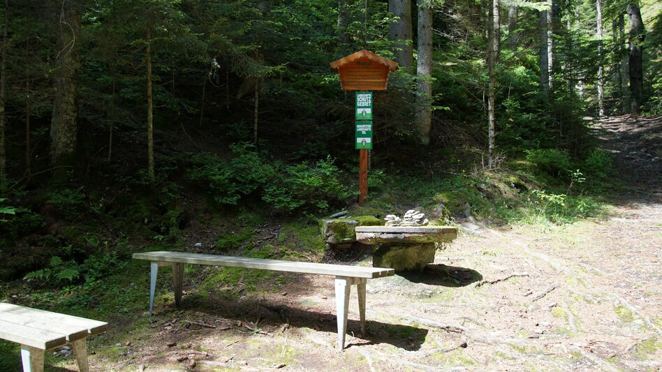 Hiking route Romai waterfall round, St. Jakob im Walde - Touren-Impression #2.5