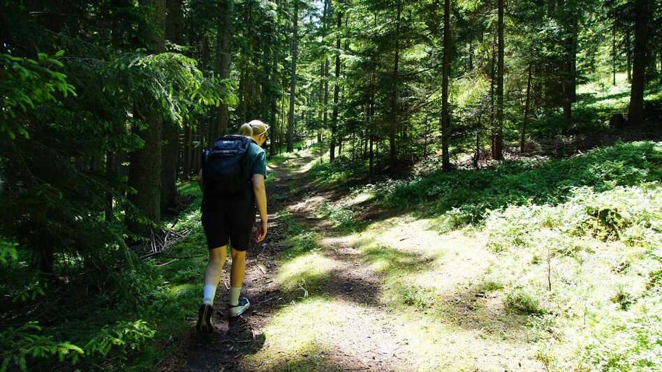 Hiking route Romai waterfall round, St. Jakob im Walde - Touren-Impression #2.7
