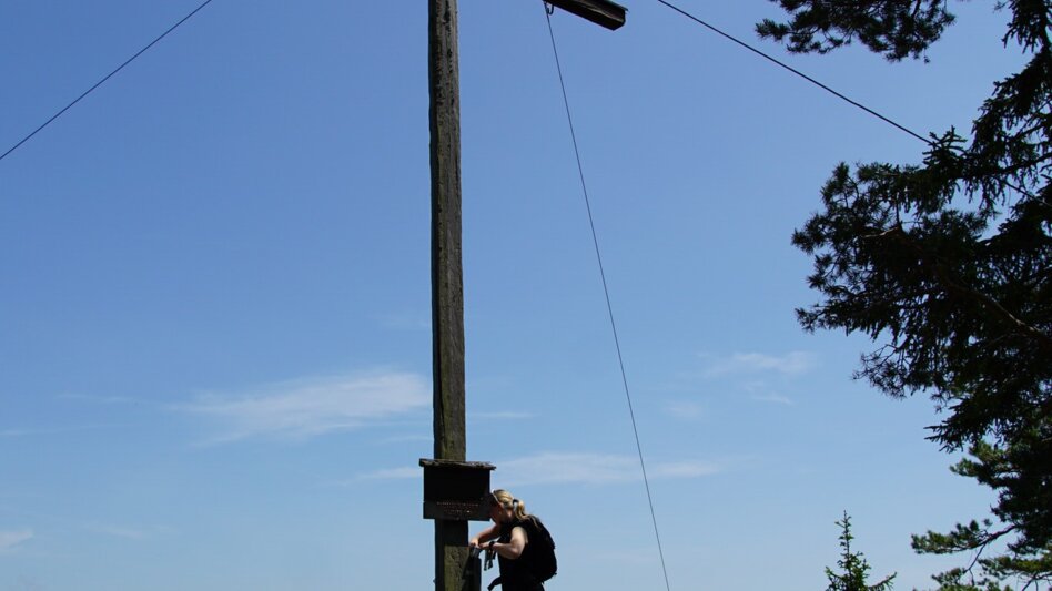 Hiking route Romai waterfall round, St. Jakob im Walde - Touren-Impression #2.11
