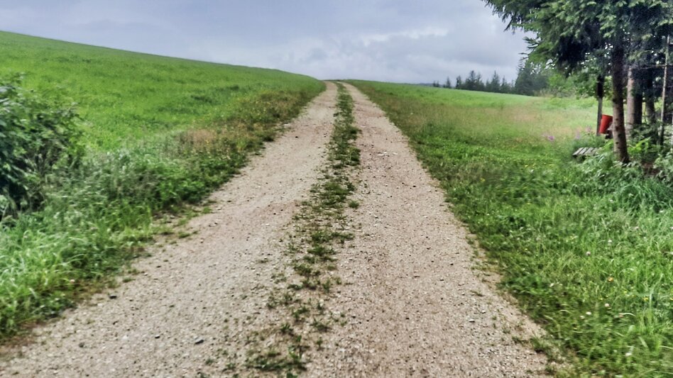 Wanderung Strallegg-Runde, Strallegg - Touren-Impression #2.6 | © WEGES