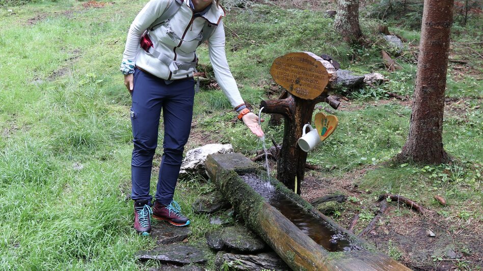 Wanderung Strallegg-Runde, Strallegg - Touren-Impression #2.3 | © Oststeiermark Tourismus