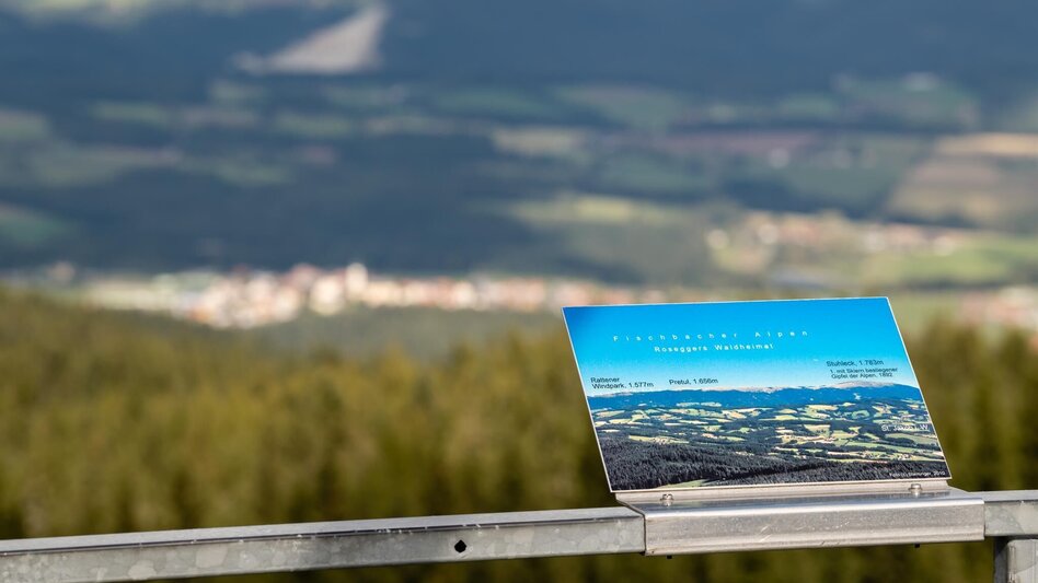 Hiking route Wildwiesen round, Miesenbach - Touren-Impression #2.2 | © Klaus Ranger