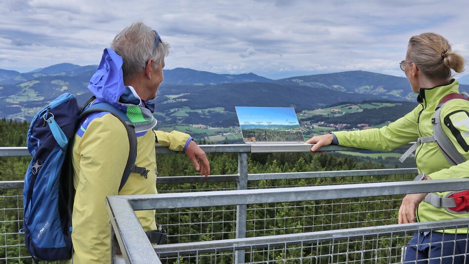 Hiking route Wildwiesen round, Miesenbach - Touren-Impression #2.1 | © WEGES