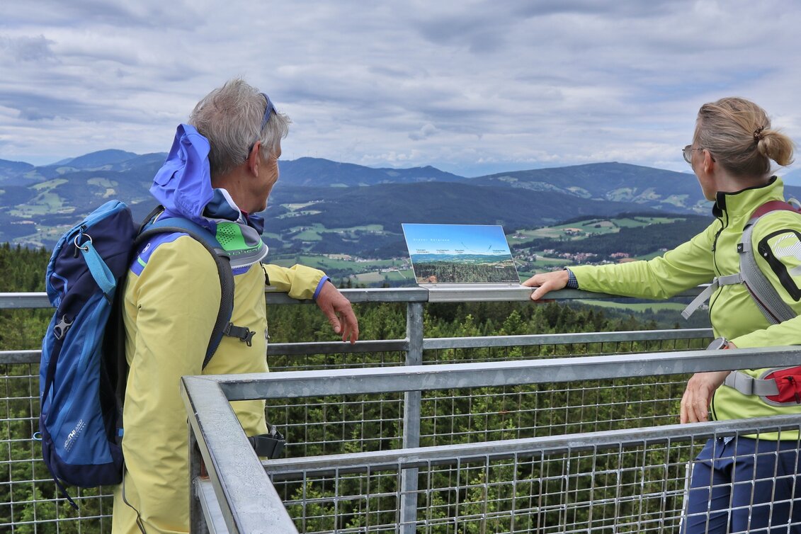 Hiking route Wildwiesen round, Miesenbach - Touren-Impression #1 | © WEGES