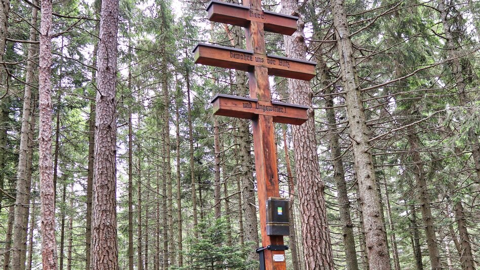 Hiking route Wildwiesen round, Miesenbach - Touren-Impression #2.7 | © WEGES