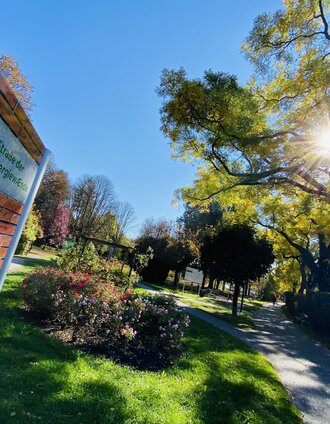 Energy revolution_sunny_Eastern Styria | Stadtgemeinde Gleisdorf | © Tourismusverband Oststeiermark