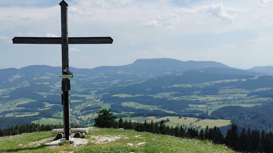 Theme path Wooden sculpture trail, Nechnitz - Touren-Impression #2.2 | © Oststeiermark Tourismus