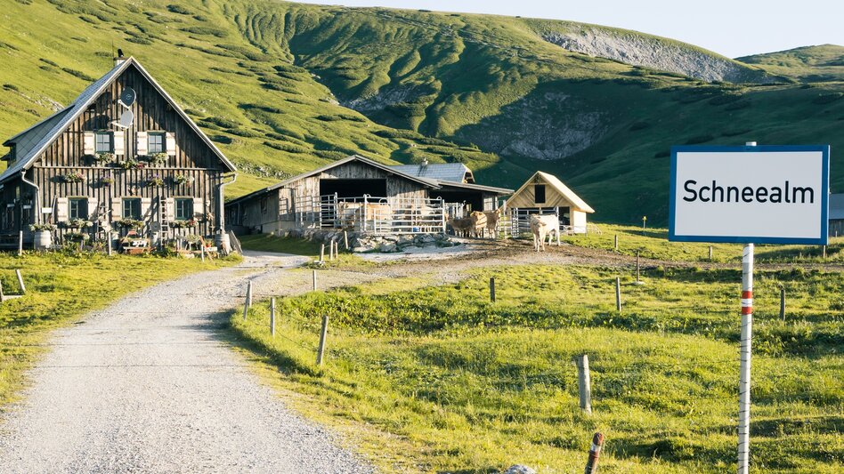 Long-Distance Hiking Hochsteirische BergZeitReise - Touren-Impression #2.28 | © TV Hochsteiermark