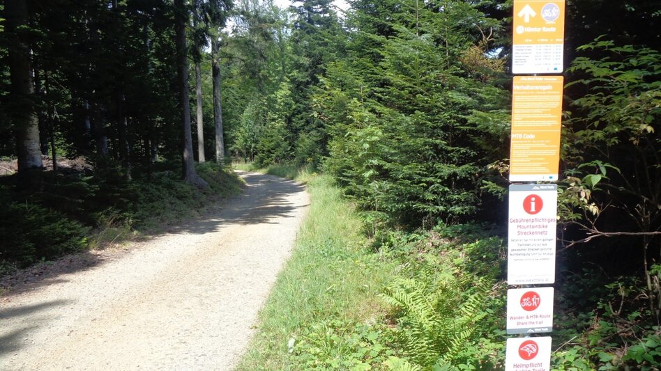 Mountainbike Steirische Wexl Trails - Hilmtor Route - Touren-Impression #2.3