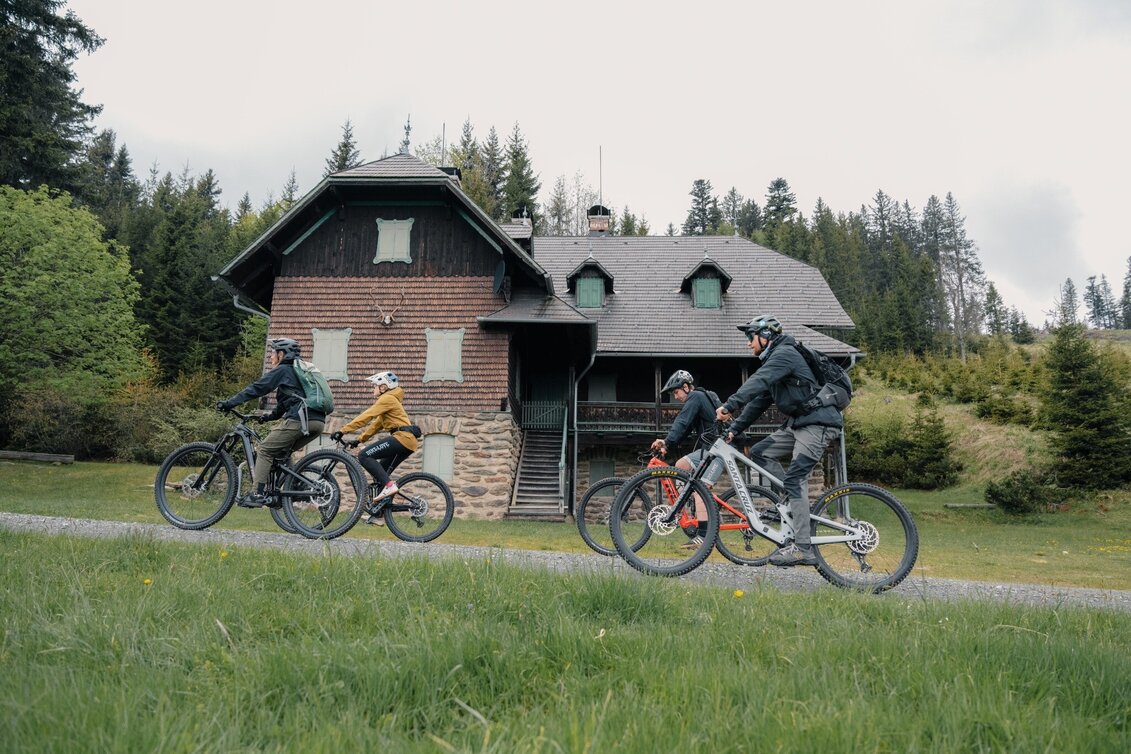 Mountain Biking Styrian Wexl Trails - Thalberger Schwaig Route - Touren-Impression #1 | © Verein Tourismusentwicklung Steirischer Wechsel