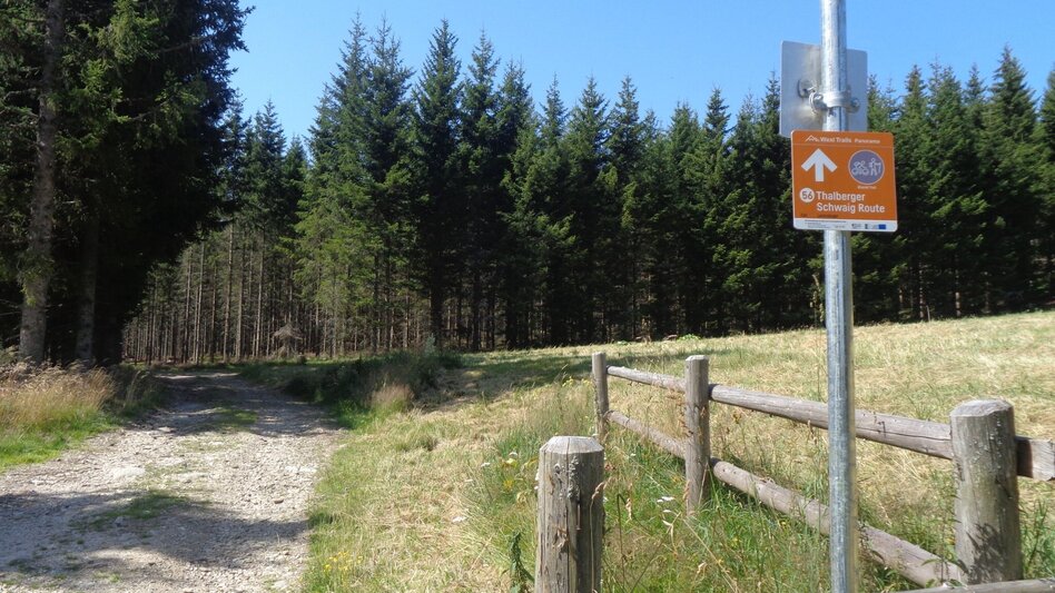 Mountain Biking Styrian Wexl Trails - Thalberger Schwaig Route - Touren-Impression #2.2