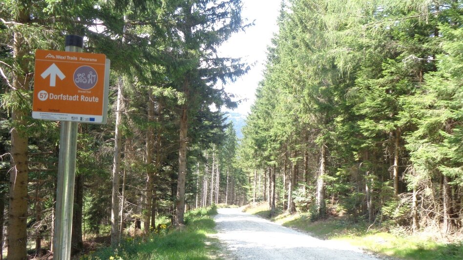 Mountain Biking Styrian Wexl Trails - Dorfstatt Route - Touren-Impression #2.1