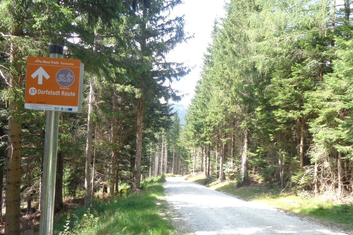 Mountain Biking Styrian Wexl Trails - Dorfstatt Route - Touren-Impression #1
