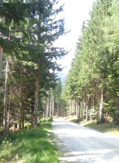 Route 57- Wexl Trails | Verein Tourismusentwicklung Steirischer Wechsel