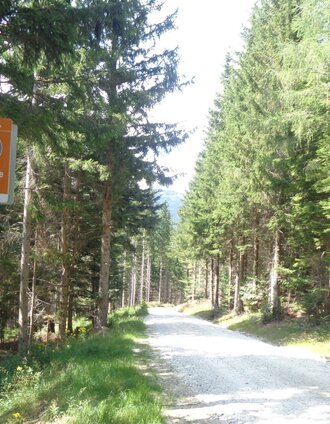 Route 57- Wexl Trails | Verein Tourismusentwicklung Steirischer Wechsel
