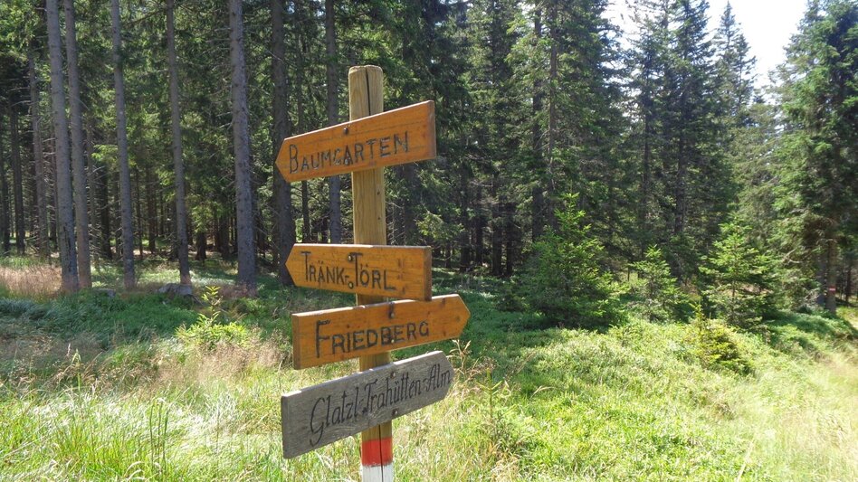 Mountain Biking Styrian Wexl Trails - Windhang Route - Touren-Impression #2.3