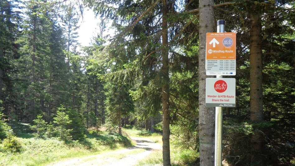 Mountain Biking Styrian Wexl Trails - Windhang Route - Touren-Impression #2.4