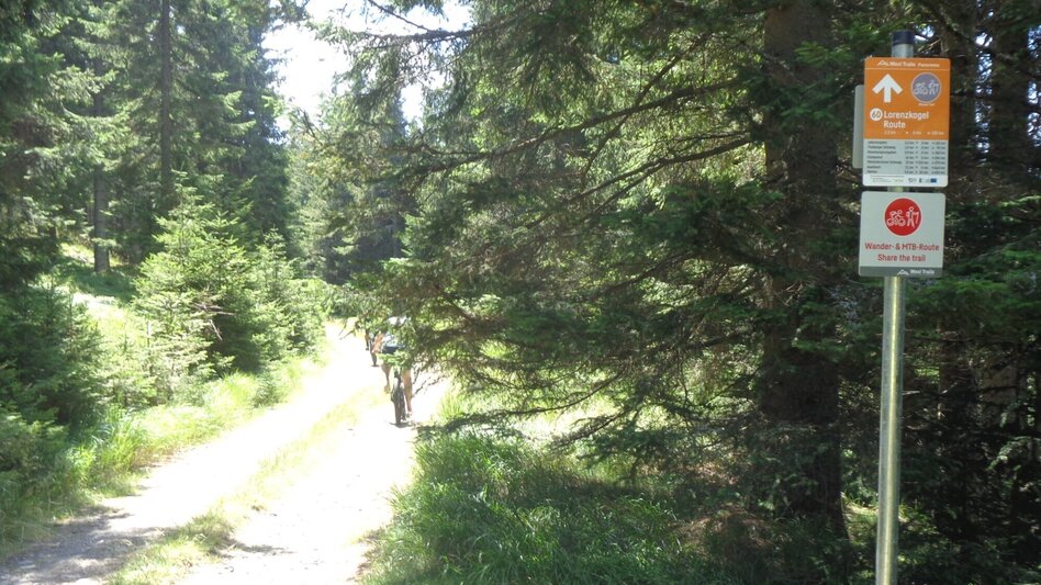 Mountain Biking Styrian Wexl Trails - Lorenzkogel Route - Touren-Impression #2.1