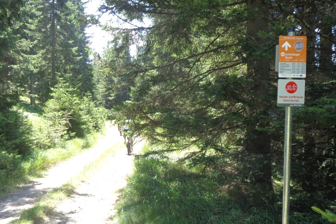 Mountain Biking Styrian Wexl Trails - Lorenzkogel Route - Touren-Impression #1