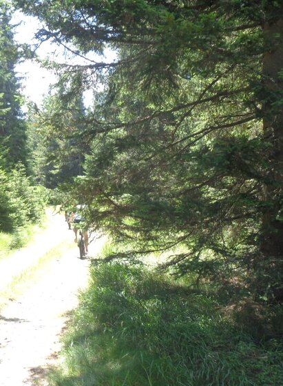 Route 60 - Wexl Trails | Verein Tourismusentwicklung Steirischer Wechsel