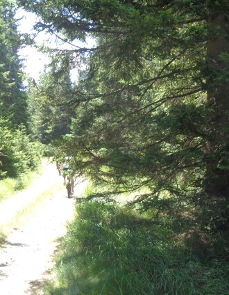 Route 60 - Wexl Trails | Verein Tourismusentwicklung Steirischer Wechsel