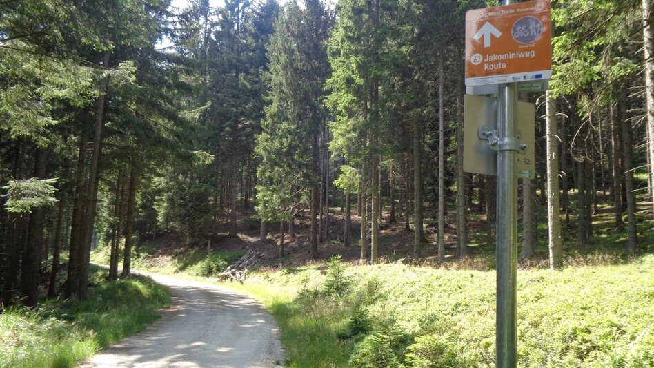 Mountainbike Steirische Wexl Trails - Jakominiweg Route - Touren-Impression #2.2