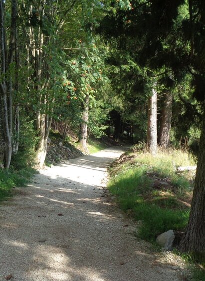 Route 62 - Wexl Trails | Verein Tourismusentwicklung Steirischer Wechsel