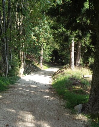 Route 62 - Wexl Trails | Verein Tourismusentwicklung Steirischer Wechsel