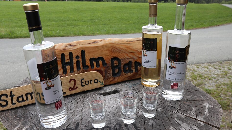 Mountain Biking Styrian Wexl Trails - Kogelweg Route - Touren-Impression #2.3 | © Oststeiermark Tourismus