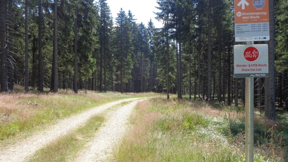 Mountain Biking Styrian Wexl Trails - Hirschensprungeben Route - Touren-Impression #2.2