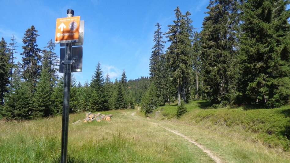 Mountain Biking Styrian Wexl Trails - Irrbühel Route - Touren-Impression #2.1