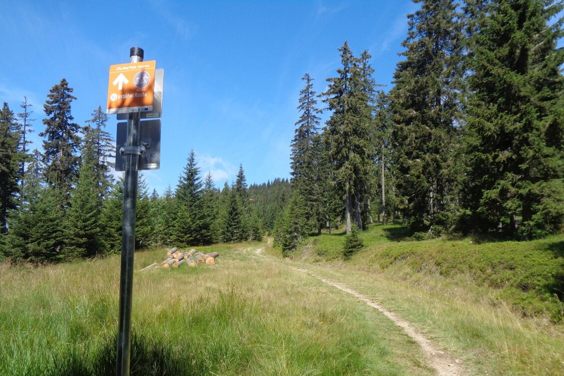 Mountain Biking Styrian Wexl Trails - Irrbühel Route - Touren-Impression #1