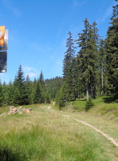 Route 51 - Wexl Trails | Verein Tourismusentwicklung Steirischer Wechsel