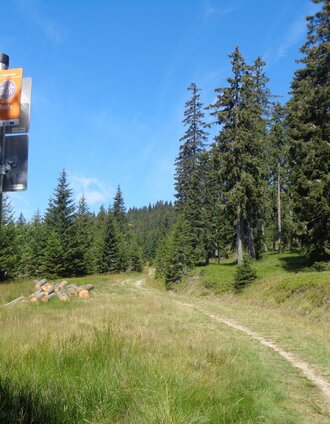 Route 51 - Wexl Trails | Verein Tourismusentwicklung Steirischer Wechsel