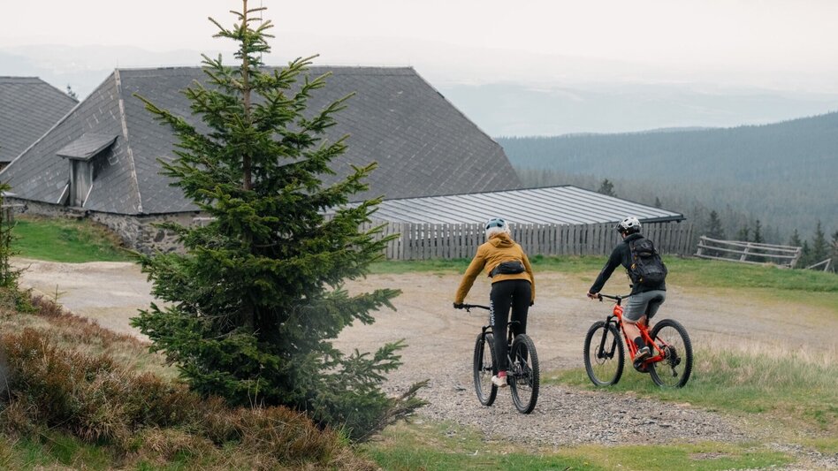 Mountainbike Steirische Wexl Trails - Vorauer Schwaig Trail - Touren-Impression #2.4 | © Verein Tourismusentwicklung Steirischer Wechsel