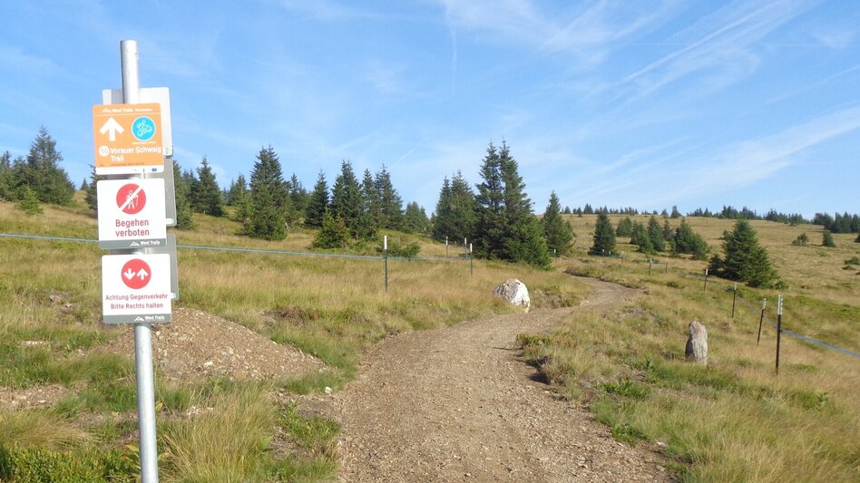 Mountainbike Steirische Wexl Trails - Vorauer Schwaig Trail - Touren-Impression #2.2