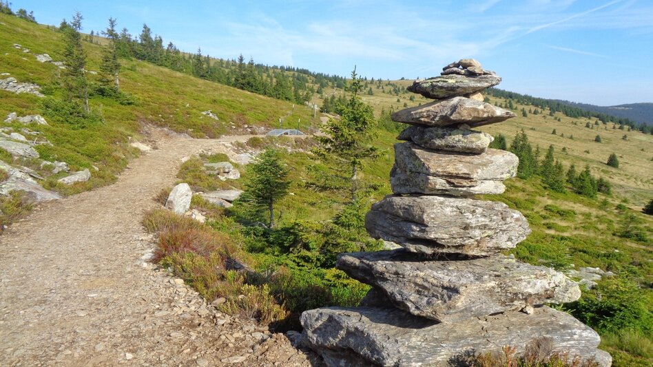 Mountainbike Steirische Wexl Trails - Vorauer Schwaig Trail - Touren-Impression #2.3