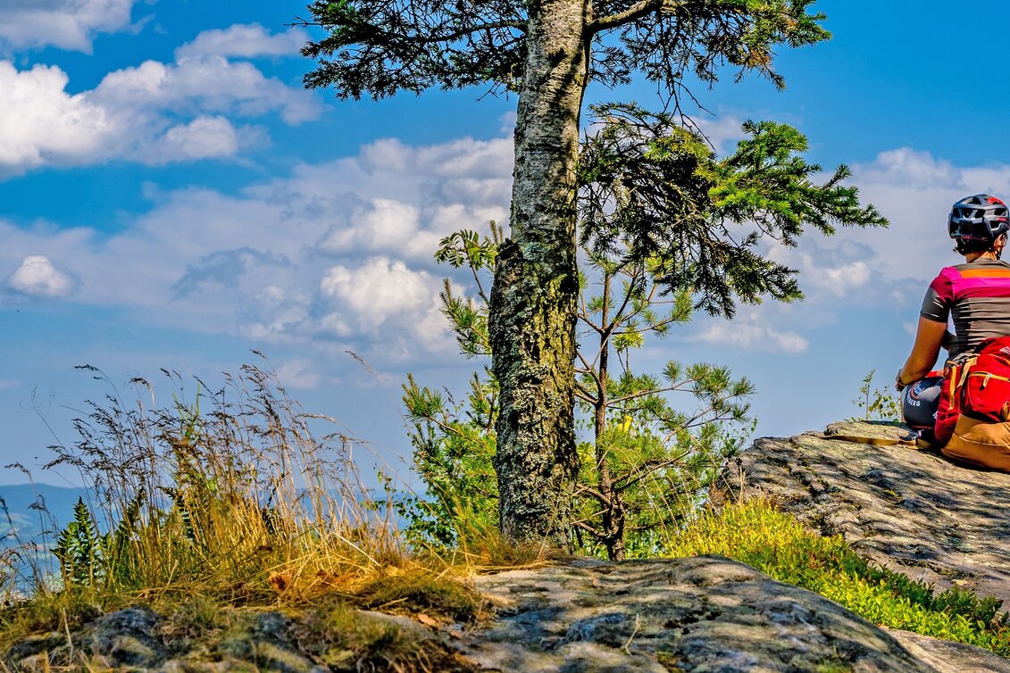 Radfahren Quer durchs Wechselland, Friedberg - Touren-Impression #1 | © Oststeiermark Tourismus