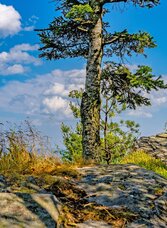 Radfahrer im Wechselgebiet in der Oststeiermark | © Oststeiermark Tourismus | Flotoanker | © Oststeiermark Tourismus